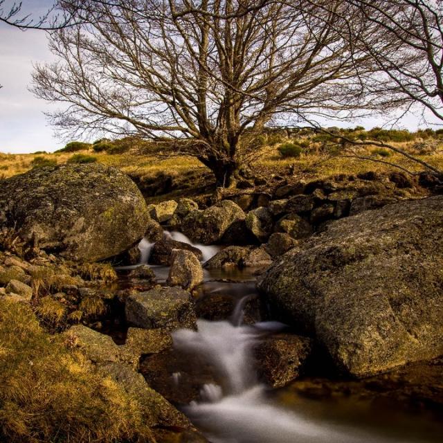 Instagram #lozere