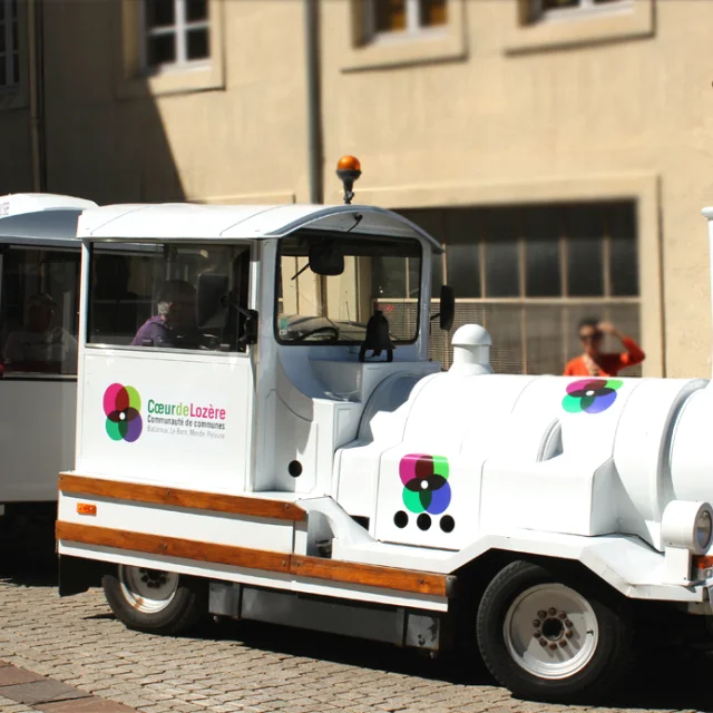 Petit Train 1