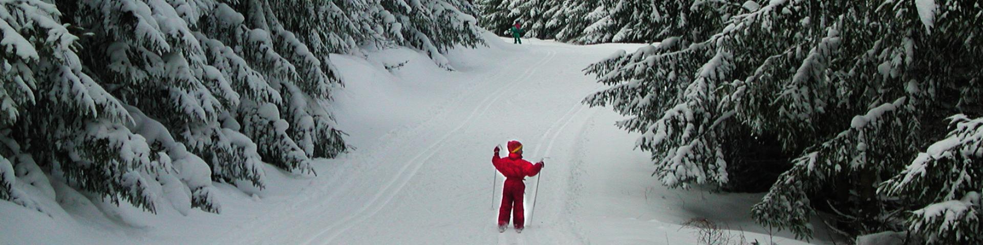 Winter Ski 3©d.rixte