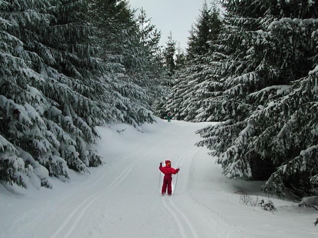 Hiver Ski 3©d.rixte