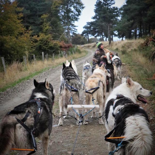 Instagram #lozeretourismus