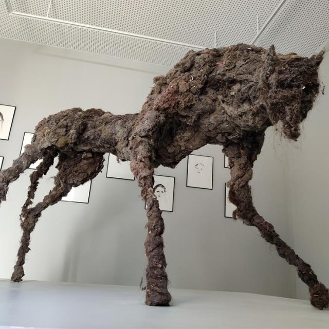 Musee Gevaudan 7©musee Gevaudan