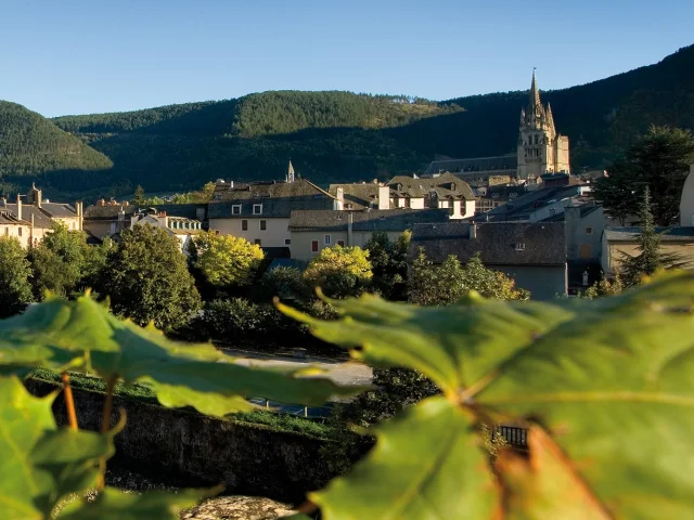 Vue panoramique de Mende