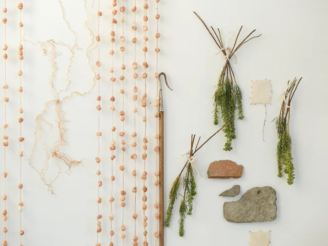 Exposition Les Rocailleuses de Laurine Habert