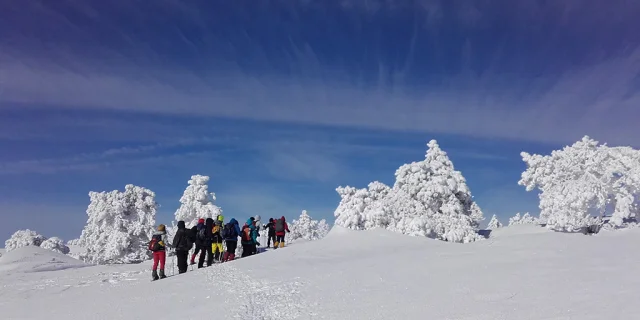 Rando Raquettes en Hiver en Lozère