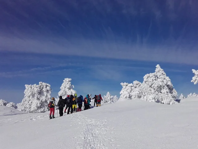 Rando Raquettes en Hiver en Lozère