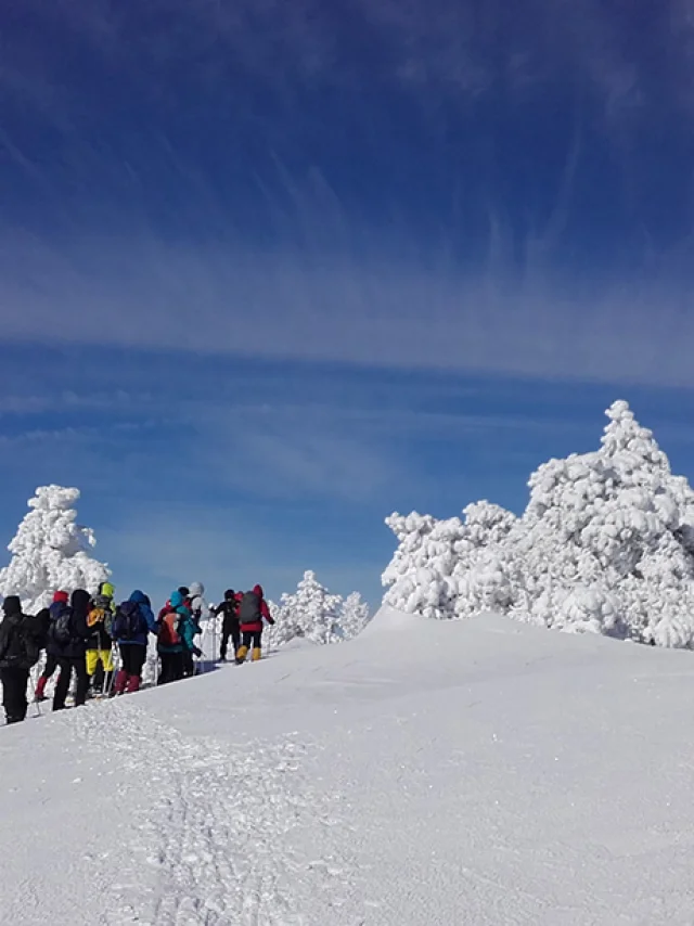Rando Raquettes en Hiver en Lozère